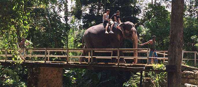Sri Lanka. La o plimbare cu… elefanții